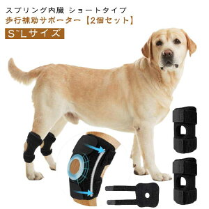 T|[^[ veN^[ XvO ֐  ol s   G p r T|[g 2Zbg ی ΂ 荪 \h  2Zbg  V[g p Ck P r  GT|[^[ ֐߃T