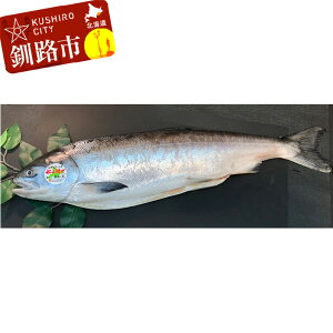yӂ邳Ɣ[ŁzHYuԊߎm炸1{iؐgj  gLVY ؐg  ͂̂  ܂   CY kC H F4F-3756