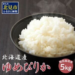 yӂ邳Ɣ[ŁzkC ߂҂肩 ʍ͔| 5kg ( ӂ邳Ɣ[  ӂ邳Ɣ[  ӂ邳Ɣ[ ߂҂肩 ʍ͔| uh sJ i 5L )