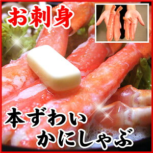 yӂ邳Ɣ[Łz hgp{킢ɔg 500g ( 10 ~ 15 { ) 킢 YC 킢 YCI 킢I  Jj I  O CN hg ނg ɂ kC s ӂ