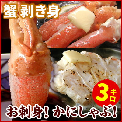 記事番号:33773/アイテムID:338650の画像