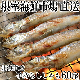 楽天市場 ししゃもの通販