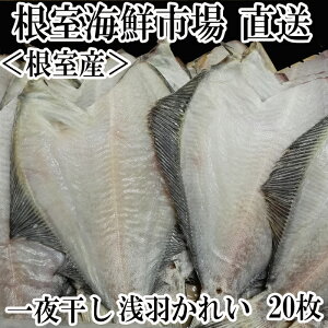 yӂ邳Ɣ[Łz [kCY] 銱Hꂢ 20  JC  ꂢ   TJi  O CN 銱  Ă kC s ӂ邳Ɣ[ A-11059