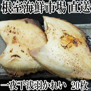 yӂ邳Ɣ[Łz [kCY] 銱Hꂢ 20   O CN  TJi   JC 銱  kC s ӂ邳Ɣ[ A-14063