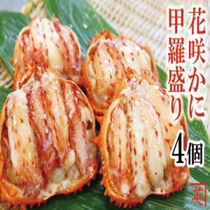 yӂ邳Ɣ[Łz [kCY] ԍIb 70g × 4  ԍ炪 ԍ ԍ炩 ԍI  Jj I  O CN {C 䥂ŊI 䥂ł 䥂ŃKj ނg g kC 