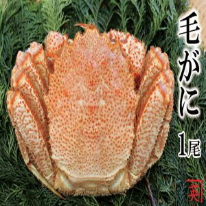 yӂ邳Ɣ[Łz [kCY] {CъI 600g ~ 1kg × 1  т уKj  PKj  Jj I ~\ Jj~\ JjX IX ɖX  O CN 䥂ŊI 䥂ł 