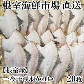 【ふるさと納税】[北海道根室産]根室海鮮市場＜直送＞一夜干し浅羽かれい20枚 A-28059