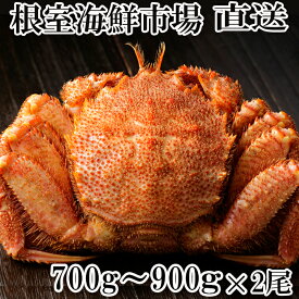 楽天市場 ふるさと納税 カニ 魚介類 水産加工品 食品の通販 楽天市場 ふるさと納税 カニ 魚介類 水産加工品 食品の通販