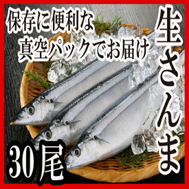 【ふるさと納税】[北海道根室産]さんま30尾 B-30005