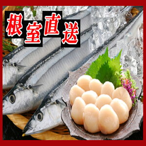 yӂ邳Ɣ[Łz  5  × 5PAقĊL 200g × 2P Zbg z^e ق  L z^eL L H T}  O CN kC s ӂ邳Ɣ[ C-30038
