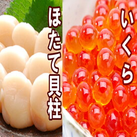 【ふるさと納税】いくら醤油漬け100g×2P、ほたて貝柱500g×1P B-36019