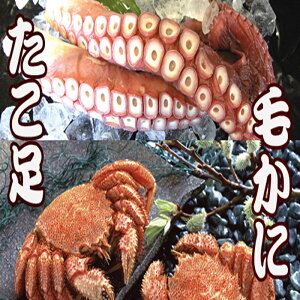 yӂ邳Ɣ[Łz т 400g O ~ 550g O × 1 A 700g O ~ 1kg O × 1{  ^R т ъI  PKj  Jj I  O CN   ^R  