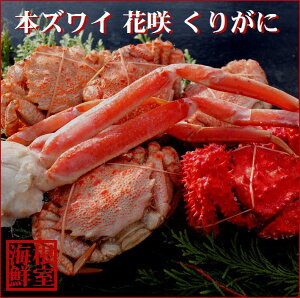 yӂ邳Ɣ[Łz {YCKjAԍKjANKjZbg ( 3 v 1.4kg O ) YC 킢 킢 YCI 킢I ԍ炪 ԍ ԍ炩 ԍI 肪  Jj I 