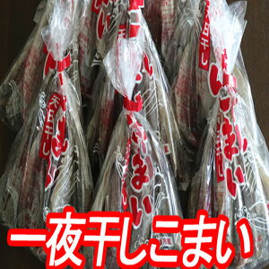 yӂ邳Ɣ[Łz [kCY] 銱܂ 200g Iׂ 5  ` 10  R}C X JJC   TJi   ܂  kC s ӂ邳Ɣ[
