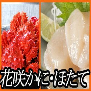 yӂ邳Ɣ[Łz ԍKj 500g O ` 650g O × 5 AقĊL 1kg z^e ق  L z^eL L ԍ炪 ԍ ԍI  Jj I  O CN kC 