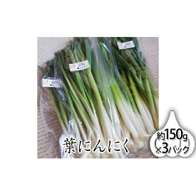 楽天市場 葉にんにくの通販 楽天市場 葉にんにくの通販