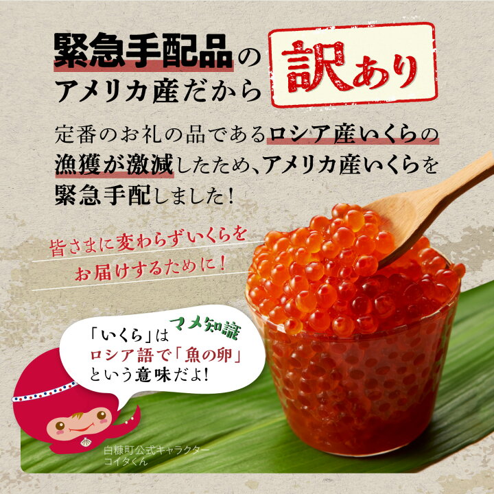 楽天市場 ふるさと納税 訳あり いくら醤油漬 鮭卵 400g 0g 2パック ふるさと納税 いくら 白糠町 イクラ わけあり 鮭 鮭卵 醤油漬け 小分け ふるさと 人気 北海道白糠町
