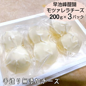 【ふるさと納税】早池峰醍醐　手造り無添加モッツァレラチーズ200g×3パック