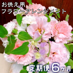 yӂ邳Ɣ[Łzy6zw\ ӂ邳Ɣ[  pt[AWg