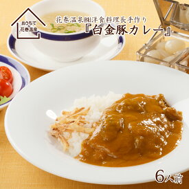 【ふるさと納税】花巻温泉(株) 洋食料理長手作り 『白金豚カレー』 6食入 ギフト 簡単 本格 レトルト カレー