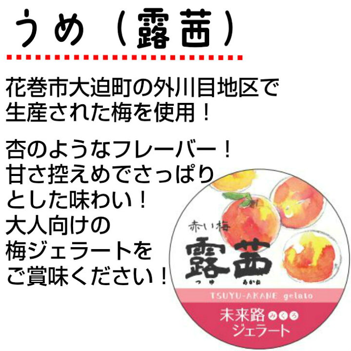 楽天市場 ふるさと納税 未来路ジェラート10個入 赤かぼちゃ ブルーベリー 梅2種 岩手県花巻市