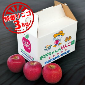 【ふるさと納税】りんご 3kg【9～12月発送】いちのせきの旬 リンゴ 特選