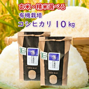 yӂ邳Ɣ[Łzs VĐs\ tߘa7NY V L@͔| RVqJ 10kg (5kg×2) Iׂ      茧 ֎s
