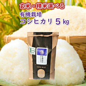 yӂ邳Ɣ[Łzs VĐs\ tߘa7NY V L@͔| RVqJ 5kg Iׂ     ͂ R  茧 ֎s