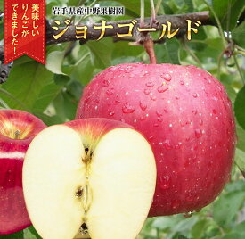 【ふるさと納税】中野果樹園のジョナゴールド5kg（16〜20個入り）/ジョナゴールド 送料無料 矢巾町産 りんご 予約 蜜 ジュース 甘い 酸味 贈答 ギフト プレゼント リンゴ 林檎 果物 くだもの フルーツ 岩手県 矢巾町