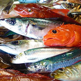 【ふるさと納税】鮮魚 石巻港直送! お楽しみ 鮮魚 詰め合わせ 宮城県 金華鯖 吉次 タラ 平目など 鮮度抜群 海鮮 鮮魚ボックス 宮城県 石巻市