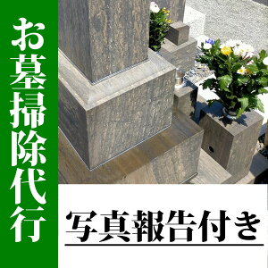 yӂ邳Ɣ[Łz|si1jʐ^񍐕t