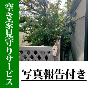 yӂ邳Ɣ[Łz󂫉Ƃ̌T[rX/ʐ^񍐕t