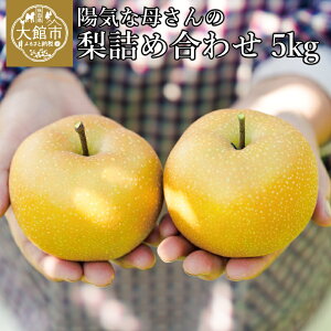yӂ邳Ɣ[ŁzyʌEԌzzCȕꂳ̓X R7NYulvi5kgjy80P3405z Ȃ iV l Zbg G ʌ َs Hc zCȕꂳ̓X  Mtg t