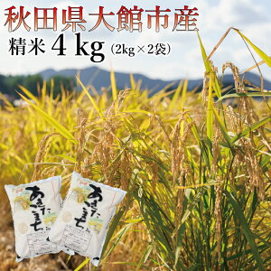 yӂ邳Ɣ[Łzyߘa7NYzz^炩Ȋňu܂v4kg (2kg×2) y65P3001z s\     2kg ٓ ɂ ߂Ă  Hi 
