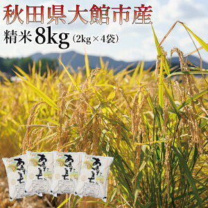 yӂ邳Ɣ[Łzyߘa7NYzz^炩Ȋňu܂v8kg (2kg×4) y130P3001z s\     2kg ٓ ɂ ߂Ă  Hi 