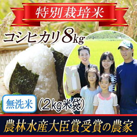 【ふるさと納税】【令和5年産米】《無洗米》特別栽培米 コシヒカリ 2kg×4袋 山形県庄内産 F2Y-3131