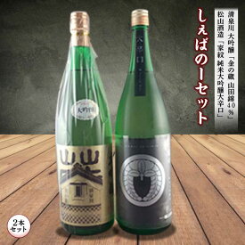 【ふるさと納税】しぇばのーセット 日本酒 大吟醸 2本セット F2Y-1268