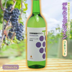 yӂ邳Ɣ[ŁzfEFAC2{Zbg F2Y-1299