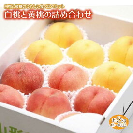 楽天市場 ふるさと納税 桃 フルーツ 果物 食品の通販