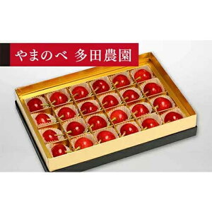 �y�ӂ邳�Ɣ[�Łz��2026�N ��s�\��₳������ ��ʂ̍����� �݂�є� 24���u��܂̂ב��c�_���v F2Y-1369