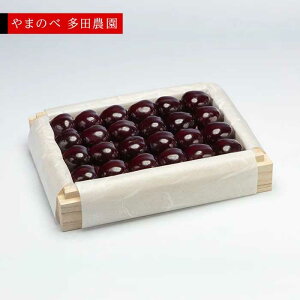 �y�ӂ邳�Ɣ[�Łz��2026�N ��s�\��₳������ ���I�T�~�b�g �˔��l 300g�u��܂̂ב��c�_���v F2Y-1372