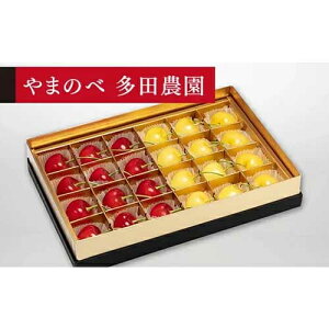 �y�ӂ邳�Ɣ[�Łz��2026�N ��s�\��₳������ ��ʂ̌��R�сE�g�G�� �݂�є� 24���u��܂̂ב��c�_���v F2Y-1380