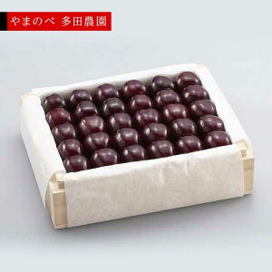 �y�ӂ邳�Ɣ[�Łz��2026�N ��s�\��₳������ ���I�T�~�b�g �˔��l 500g�u��܂̂ב��c�_���v F2Y-1383