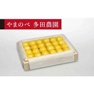 �y�ӂ邳�Ɣ[�Łz��2026�N ��s�\��₳������ ���I���R�� �˔��l 300g�u��܂̂ב��c�_���v F2Y-1385