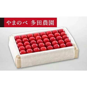 �y�ӂ邳�Ɣ[�Łz��2026�N ��s�\��₳������ ���I������ �˔��l 700g�u��܂̂ב��c�_���v F2Y-1387