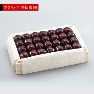 �y�ӂ邳�Ɣ[�Łz��2026�N ��s�\��₳������ ���I�T�~�b�g �˔��l 700g�u��܂̂ב��c�_���v F2Y-1388