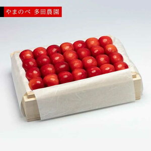 �y�ӂ邳�Ɣ[�Łz��2026�N ��s�\��₳������ ���I�g�G�� �˔��l 500g�u��܂̂ב��c�_���v F2Y-1389