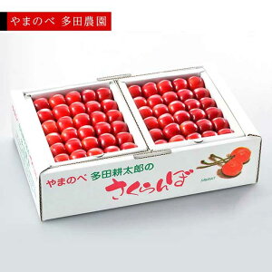 �y�ӂ邳�Ɣ[�Łz��2026�N ��s�\��₳������ �^�Ẵ��r�[�g�P ��l 1kg(500g×2)�u��܂̂ב��c�_���v F2Y-1392