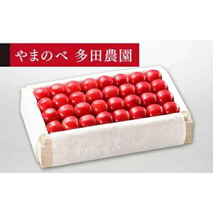 �y�ӂ邳�Ɣ[�Łz��2026�N ��s�\��₳������ ���I�u�_�C�A�i�u���C�g�v �˔��l ��700g�u��܂̂ב��c�_���v F2Y-1395