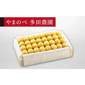 yӂ邳Ɣ[Łz2026N s\₳ IR ˔l 700gu܂̂בc_v F2Y-1396